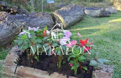 Imagem 11: TERRENO EM GRAMADO. 627m² de Área