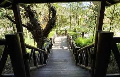 Imagem 12: Apartamento 2 Dormitórios - Bairro Vila Suiça