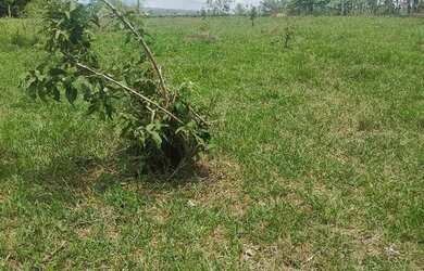 Imagem 2: Venda de lote. 3.500m² de Área