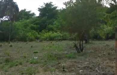 Imagem: O terreno possui 350m² de Área e está localizado em Chácara