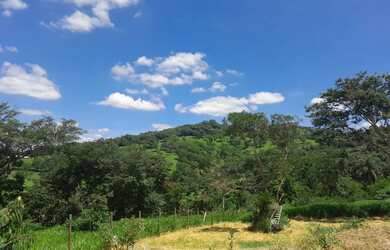 Imagem: A chácara possui 2000m² de Área e está localizado em Bom