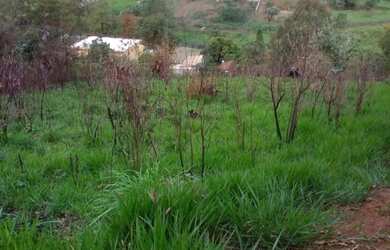 Imagem: O terreno possui 1400m² de Área e está localizado em Caetetuba