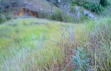 Imagem 1: Fazendinha de 96 mil metros, so 59 mil. bastante agua nascente aceita...