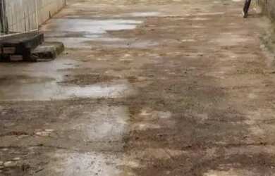 Imagem 5: Casa a venda no bairro Aponiã, 3 quartos, terreno grande