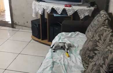 Imagem 3: Vende se uma casa. 1 Vaga na garageme2 Dormitórios