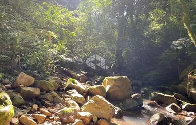 Imagem 4: Chácara com vista e riacho na Serra Gaúcha