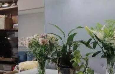 Imagem 8: Apartamento à venda, 50 m² por R$ 439.000,00 - Penha de França - São...