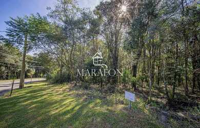 Imagem 3: TERRENO EM GRAMADO. 603m² de Área