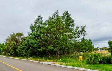 Imagem 2: TERRENO DOS SONHOS VISTA PERMANENTE PARA O VALE