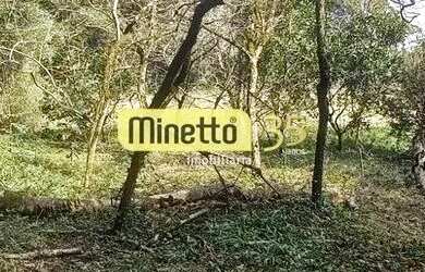 Imagem 4: VENDA - CHÁCARA EM SÃO GOTARDO/ BOCA DA SERRA