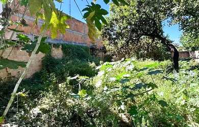 Imagem 8: LOTE MURADO. 372m² de Área