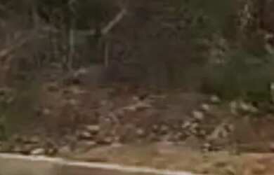 Imagem: O terreno possui 200m² de Área e está localizado em Ibituruna