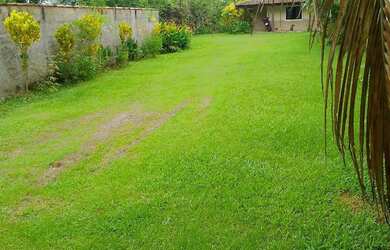 Imagem 2: lOTES.A VENDA. T 22.l. 60m² de Área