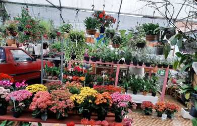 Imagem: O depósito possui 4 Vagas na garagem, 1.700m² de Área e