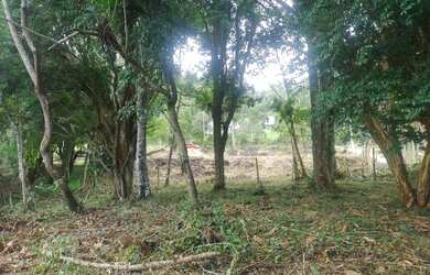 Imagem: A chácara possui 400m² de Área e está localizado em Juquitiba