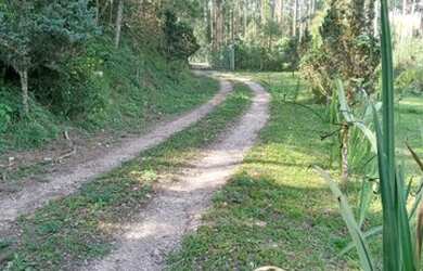 Imagem 10: Linda chácara no bairro Lagoinha em Tijucas do sul PR