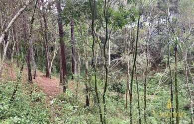 Imagem 16: Terreno à venda, 8857 m² por R$ 849.000,00 - Ferraria - Campo Largo/PR