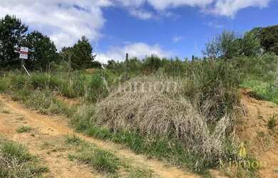 Imagem 10: Terreno à venda, 8857 m² por R$ 849.000,00 - Ferraria - Campo Largo/PR