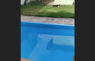 Imagem: A casa possui 2 Dormitórios, 2 Banheiros, 3 Vagas na garagem