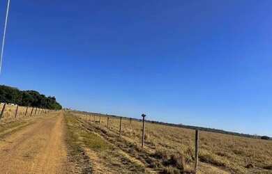 Imagem 8: Fazenda de 665 alqueires em São Miguel do Araguaia - GO