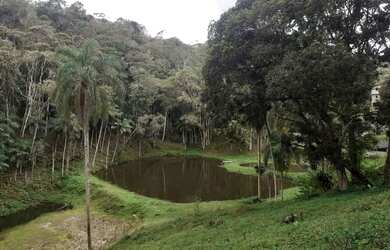 Imagem 7: 1 hectare Paulista 3 lagos mais pocilga 174 mil reais