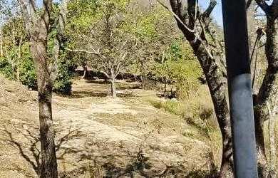 Imagem 8: Excelente fazenda dupla aptidão com 517 hectares e ótimas estruturas...