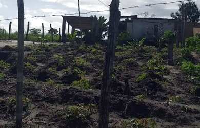 Imagem: A chácara possui 5m² de Área e está localizado em Jaguaripe