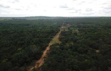 Imagem 8: Fazenda 15.416. Valor 61.664.000