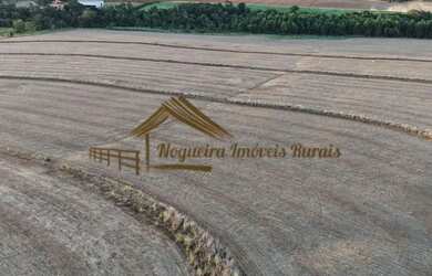 Imagem 3: Sítio com 17 alqueires terra vermelha em Quadra/SP