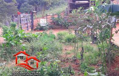 Imagem 9: Fazenda 182 Alqueires Paulista Em Governador Valadares/MG