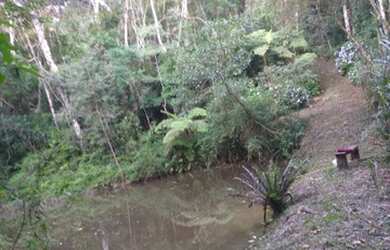 Imagem 14: Linda chácara no bairro Lagoinha em Tijucas do sul PR