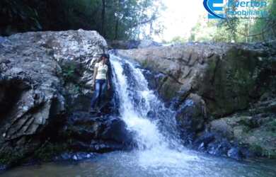Imagem 16: Fazenda rica em água, com 25,50alqueires em Presidente Olegário - MG