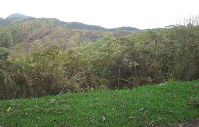 Imagem 10: Terreno à venda, 1024 m² por R$ 60.000,00 - Vieira - Teresópolis/RJ