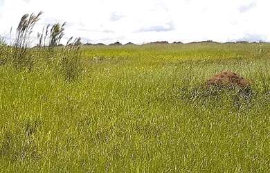 Imagem 6: Estância Santa Maria do Laranjal à venda em Atibaia