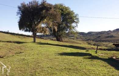 Imagem: A fazenda possui 77.000m² de Área e está localizado em Pinheiro