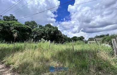 Imagem 6: Chácara com 2 ha de terra no São Victor Cohab