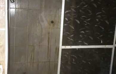 Imagem 4: Venda. 946m² de Área, 2 Vagas na garageme2 Dormitórios