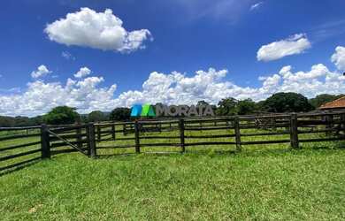 Imagem 11: FAZENDA À VENDA - 1.300 HECTARES - BURITIS MG
