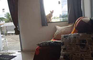 Imagem: A casa possui 3 Dormitórios, 1 Banheiro, 1 Vaga na garagem