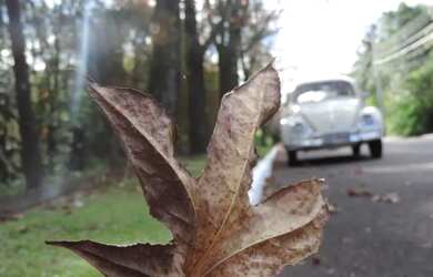 Imagem 9: Terreno - Bairro Dutra. Imóvel novoe450m² de Área