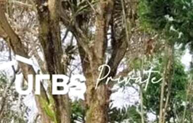 Imagem: A fazenda possui 10000m² de Área e está localizado em Sítios