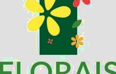 Imagem: O terreno possui 429m² de Área e está localizado em Ribeirão