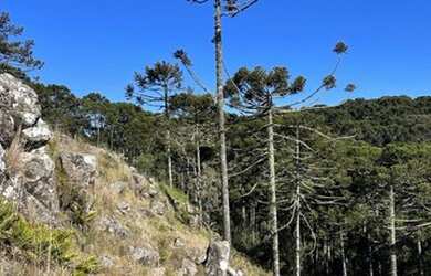 Imagem: O terreno está localizado em Urubici, SC à venda por R$2.200.000