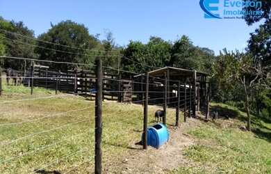 Imagem 13: Fazenda rica em água, com 25,50alqueires em Presidente Olegário - MG