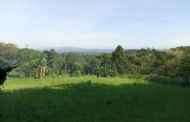 Imagem 16: Linda chácara no bairro Lagoinha em Tijucas do sul PR