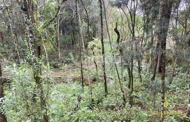 Imagem 15: Terreno à venda, 8857 m² por R$ 849.000,00 - Ferraria - Campo Largo/PR