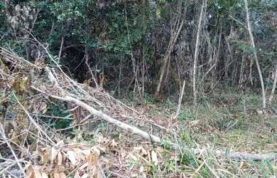 Imagem 2: Terreno rural. 120.000m² de Área