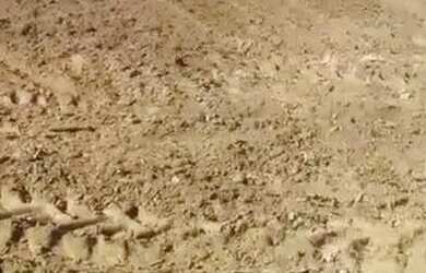 Imagem 3: Vende-se um terreno medindo 2 tarefas terra produtiva