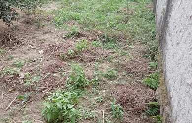 Imagem 4: Lote em Guapimirim, Parada Ideial, com 800 metros