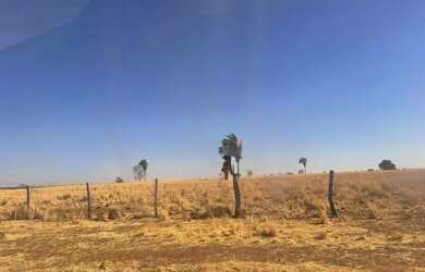 Imagem 6: Fazenda de 665 alqueires em São Miguel do Araguaia - GO